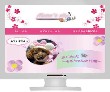 モモのサイト画像